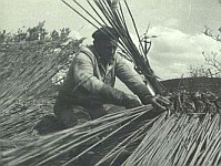 Trakorka