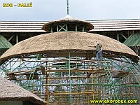 Trakorka
