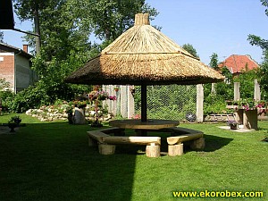 Trakorka