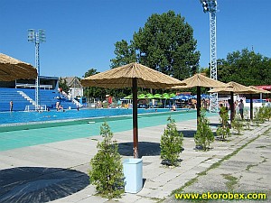 Trakorka