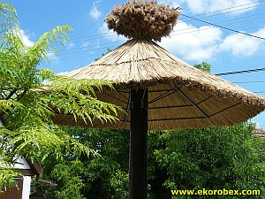 Trakorka